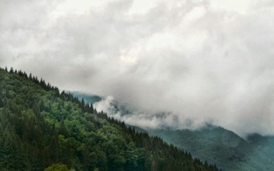 Sommerpause – Hier sind fünf Gründe, dein Projekt jetzt anzugehen!